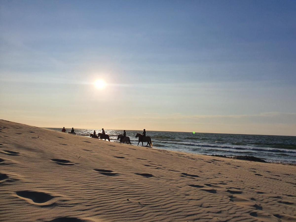 Beachhouse Renesse 2645 Exteriör bild